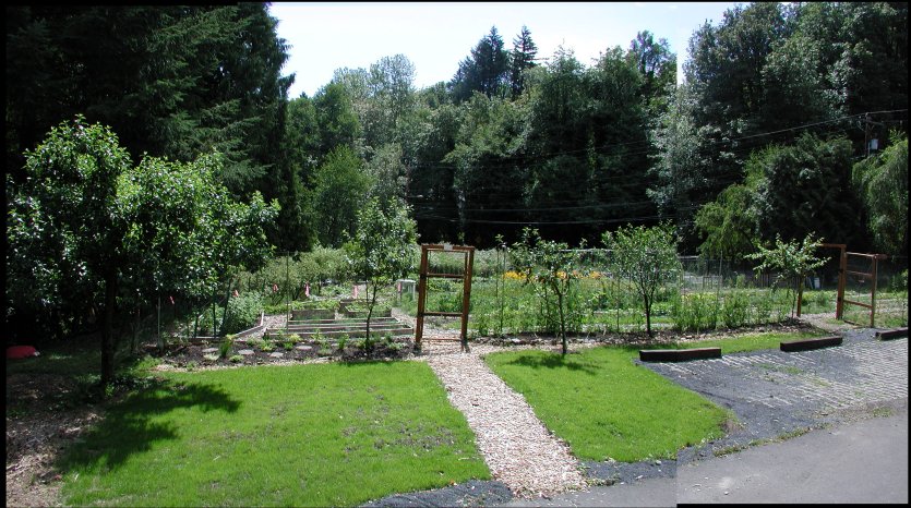 Garden in 2005